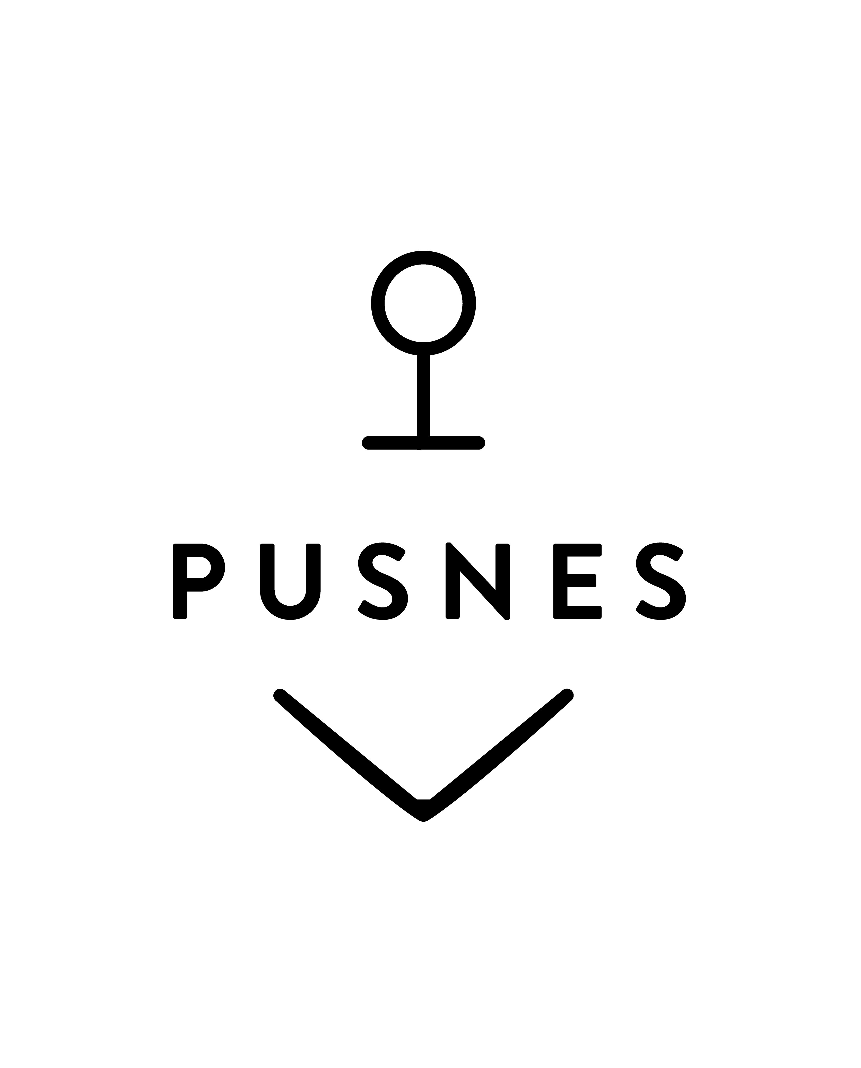 Pusnes Logo U Arendal